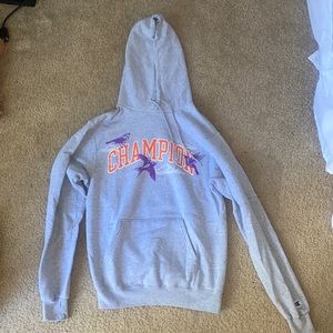 Champion hoodie grey size S